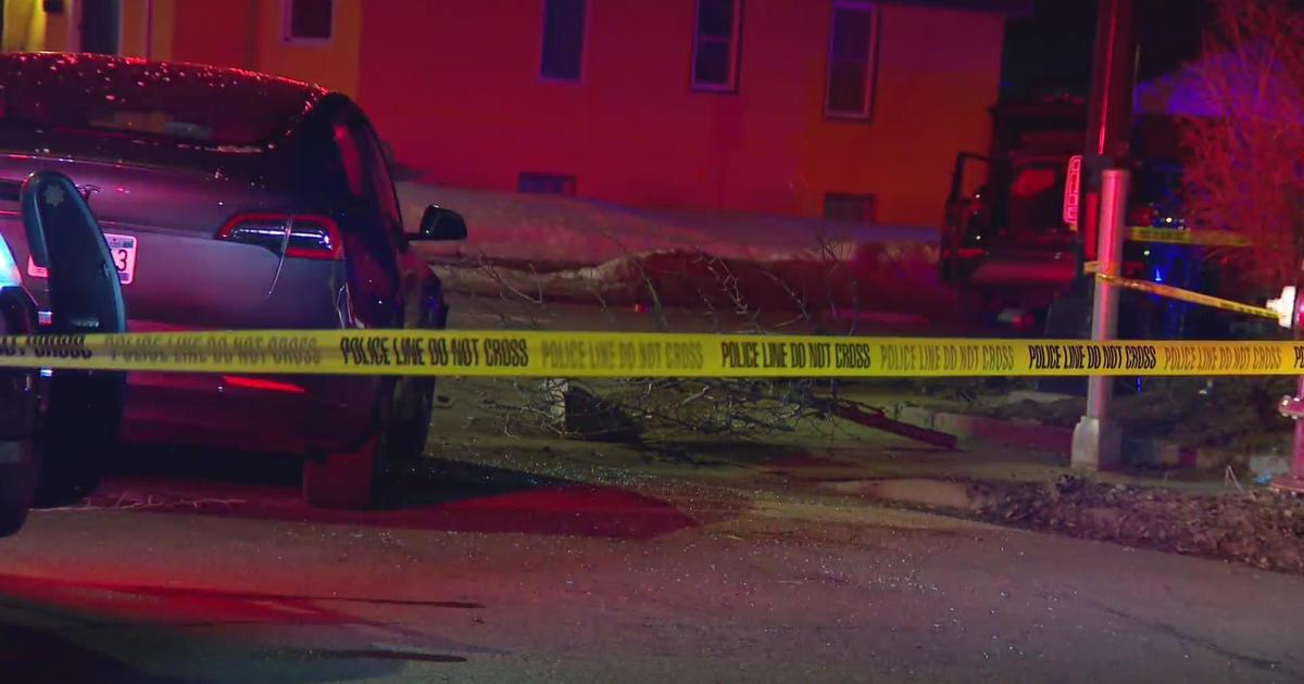 Stolen Kia Crash in Northeast Minneapolis: Narrowly Avoiding Injuries