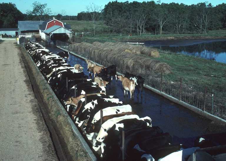 Turning Waste into Wealth Iowa CAFOs Opportunity