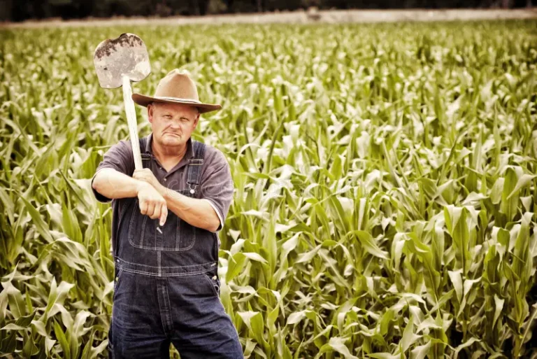 Due to their deception of federal crop insurance programs, 2 farmers from Southeast Colorado were convicted to federal prison