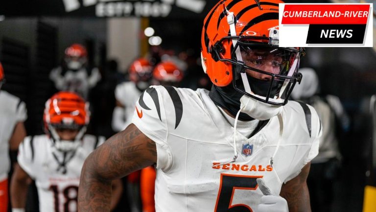 Tee Higgins Injury Update: Bengals WR Leaves Game Against Steelers with Ankle Injury