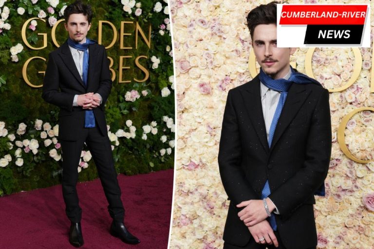 Timothée Chalamet Shines at the 2025 Golden Globes with Bob Dylan Vibes