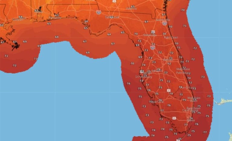 Shocking Forecast for Jacksonville: Freezing Temps and Sudden Warm Ups