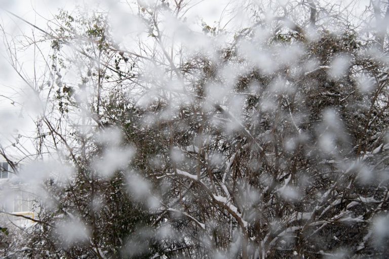 From Chilly Days to Icy Lows: Nashville’s Winter Forecast Revealed