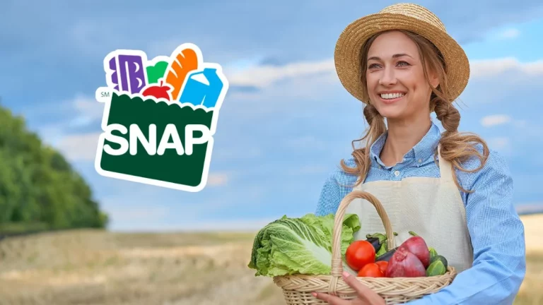 Lost Food in the Wildfires? Here’s How California’s SNAP Program Has Your Back!