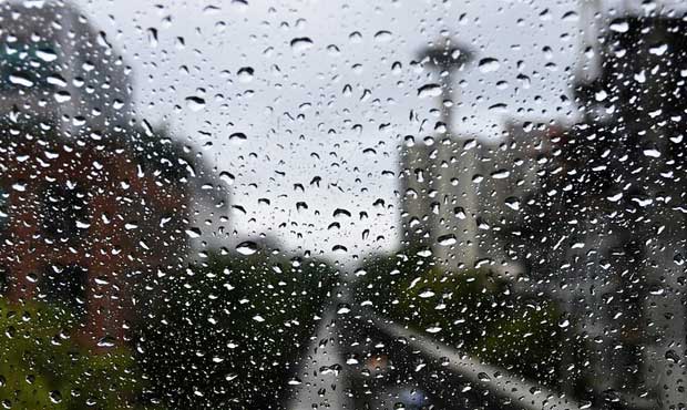 From Gloom to Glow: Seattle’s Rainy Mornings Turn Into Sunny Afternoons