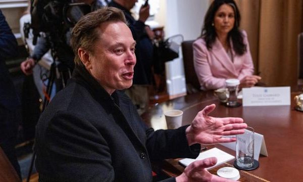 DOGE Stimulus in Doubt After Elon Musk Steps Aside: Americans Ask, “What Happens Now?”