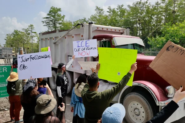 Nature vs. Bulldozers: Why the Florida Everglades Are at the Center of Heated Protests