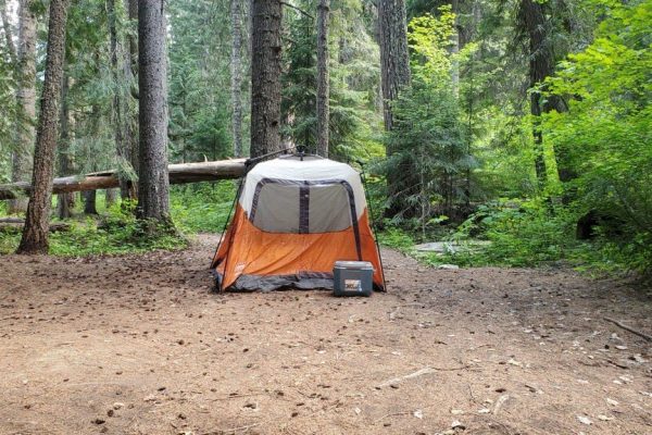 No Signs of Violence: Michigan Dad and Son Found Lifeless at Remote Campsite – Here’s What May Have Happened